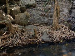 -马峦山郊野公园