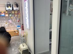-爱洗澡的猫(望京店)