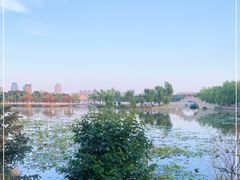 -长春市南湖公园