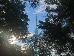 -青岛电视塔