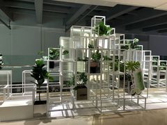 -叶子与茶(苏宁广场店)