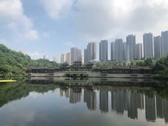 -重庆彩云湖湿地公园