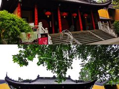 -灵谷景区