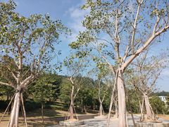 -中国移动南方基地