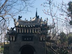 -习家池