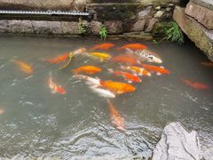 -新月集庭院咖啡馆(老邮局店)