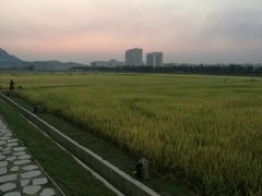 -光明小镇欢乐田园