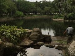 -晓港公园