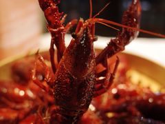 靓靓蒸虾-靓靓蒸虾(中山公园店)