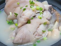 -胖娃滋补蹄花