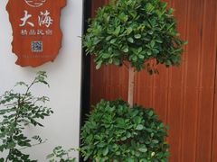 -大海别墅民宿农家院(十渡店)