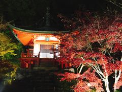-醍醐寺