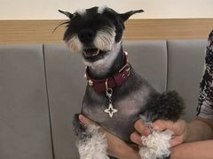 -美联众合动物医院·24h转诊中心