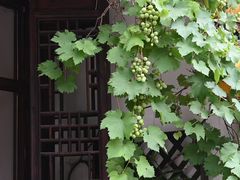 -煮雨小筑(斜塘老街店)