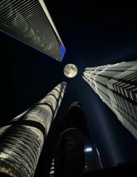 -上海金茂君悦大酒店·宴会厅