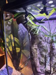 -酷嗒动物文化乐园(cutezoo西溪乐天城店)