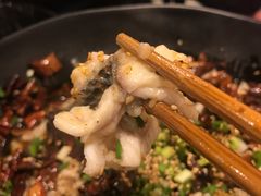 黑鱼花-三猫黑鱼花(南大店)