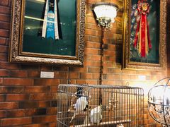 -more than meow吴止猫主题餐厅(承德 中船汇店)