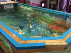 -卡通尼·Safari非洲探索乐园·生日会(金桥国际商业广场店)