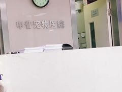 -申普宠物医院·心脏介入·心血管微创(总院)