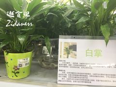 -欧尚(扬州商城江阳中路店)
