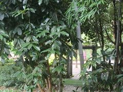 -故乡缘·香格里拉山庄(冷竹路店)