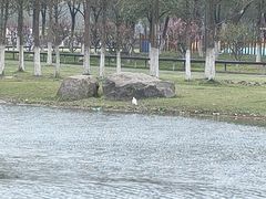 -滆湖低碳生态公园