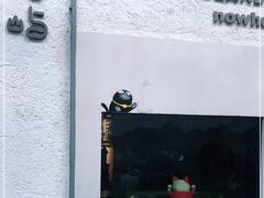 -喵屿·大理花园猫咖