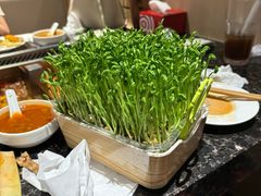 -海底捞火锅(邯郸新世纪中心店)