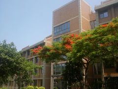-厦门国家会计学院