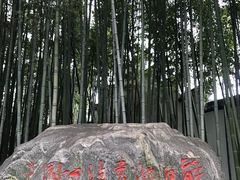 -上海醉白池公园