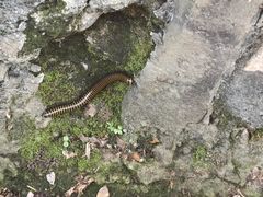 -南京市江宁方山