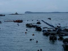 -西涌国际滨海旅游区