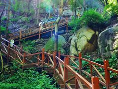 -大岭沟猕猴桃谷风景区