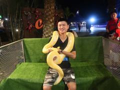 -清迈夜间动物园