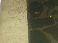 -骏途旅游