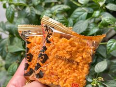 -闻酥园(大慈寺店)