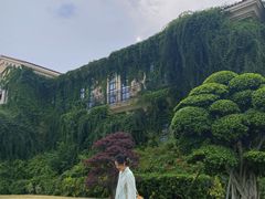 -府河摄影公园
