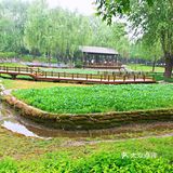 巴沟山水园