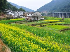 -上坦村