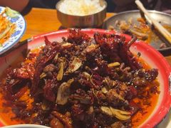 -柴窝堡22号辣子鸡·传承新疆菜