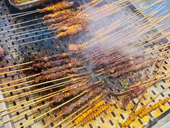 -铁山坪森林公园