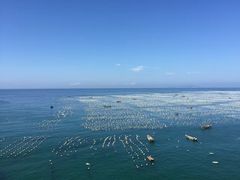 -枸杞岛