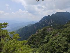 -王顺山国家森林公园