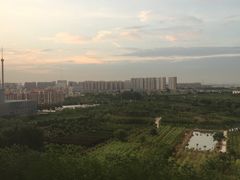 -常州环球恐龙城维景国际大酒店