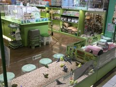 -凯德MALL(望京店)