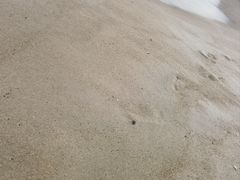 -亚龙湾海底世界