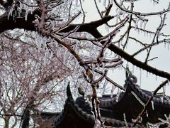 -灵顺寺