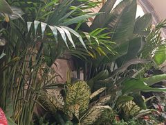 -云阿蛮云南生烫牛肉米线(奉贤路店)