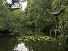 -趵突泉景区